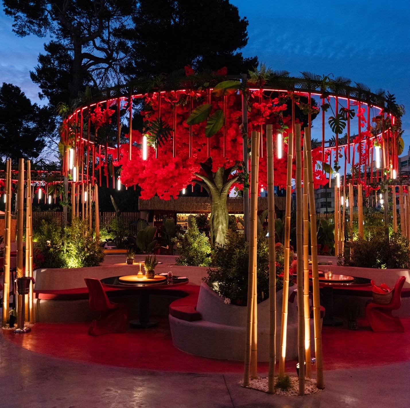 Chi Kee Wun — Restaurant in San Antonio, Ibiza
