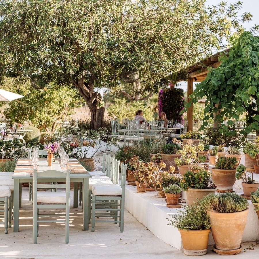 Cami De Balafia — Restaurant in Sant Joan, Ibiza