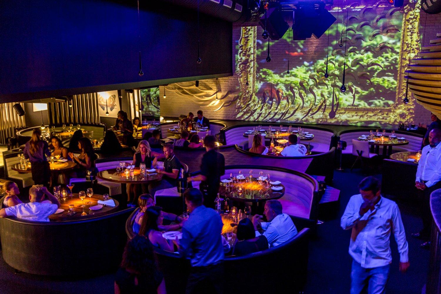STK Ibiza — photo